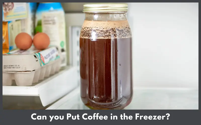 Can you Put Coffee in the Freezer